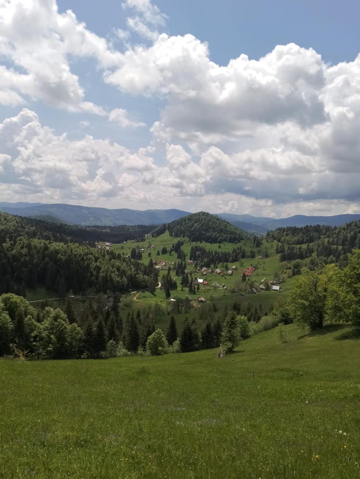Cabana Colt De Munte Felsőgirda Kültér fotó